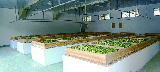 贵州省内贸学校茶叶生产与加工专业