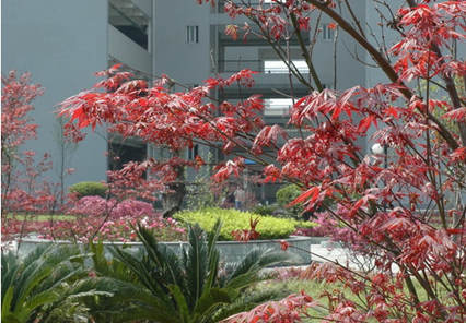 重庆三峡医药高等专科学校学校环境