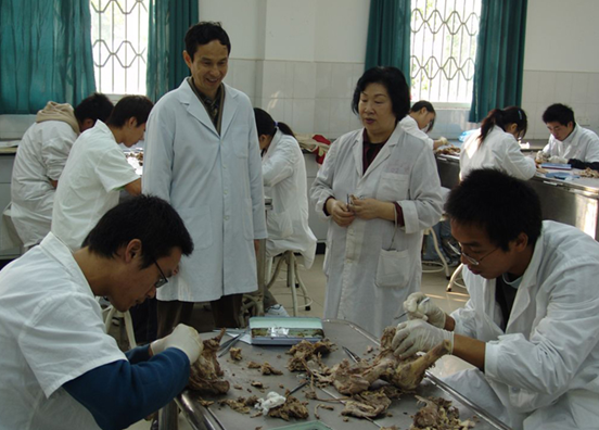 （川北医学院）教学活动