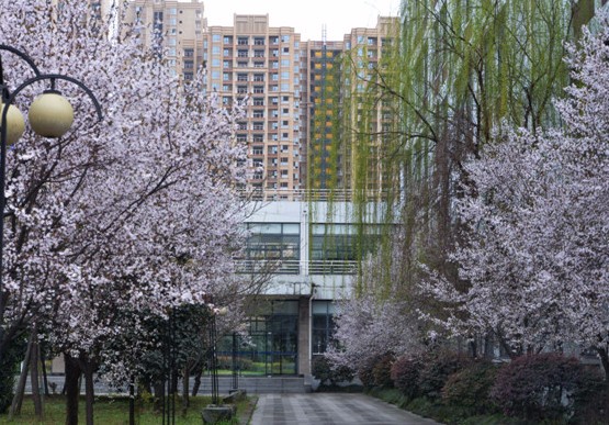 2019年成都师范学院招生录取分数线